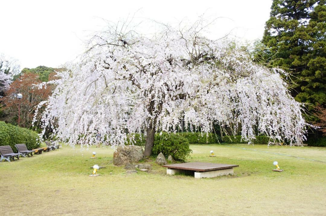 【隠れスポット】 出雲の穴場観光名所8選！ 歴史と移りゆく四季が織りなす風景